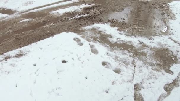 Snö faller på vägen — Stockvideo
