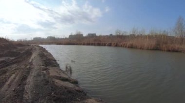 Pond for sludge with ash