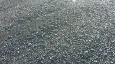 Kül ve cüruf Termik santralleri