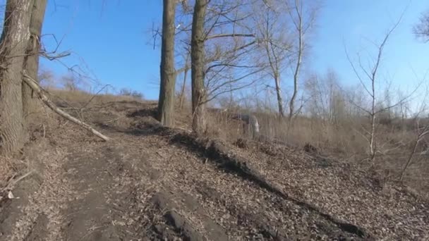 Feldweg zwischen abgestandenem Gras — Stockvideo