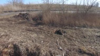 Kumda traktör izleri var.