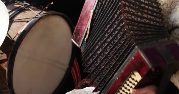 Spelen op de knop accordeon — Stockvideo