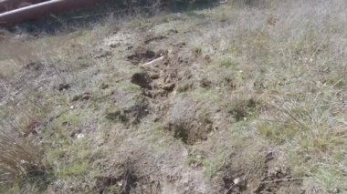 Tepedeki adımlar doğa üzerine