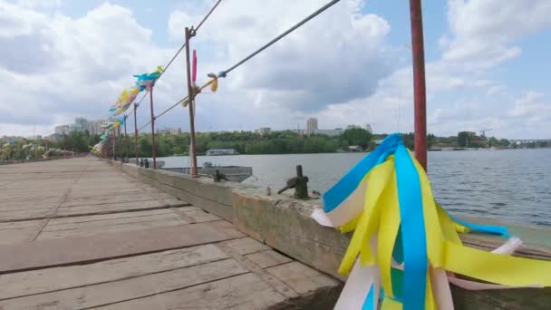 Ponte di Pantone sul fiume — Video Stock