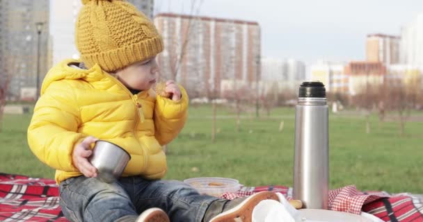 Bebé en un picnic en el parque — Vídeo de stock