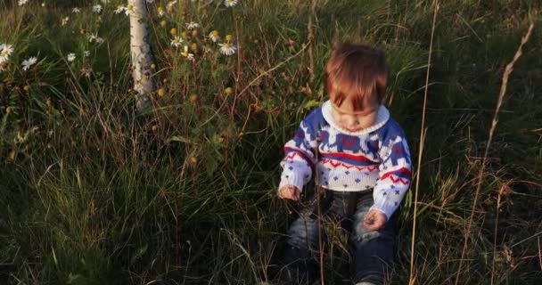 Menino infantil em uma camisola de Ano Novo — Vídeo de Stock