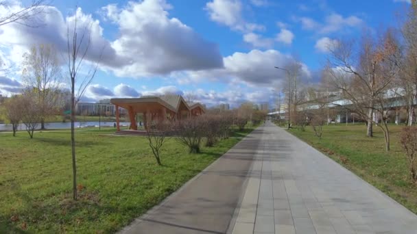 Steeg in een stadspark — Stockvideo