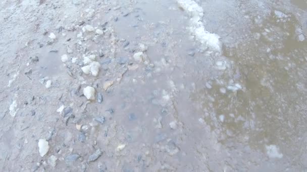 Neige tombant sur la route