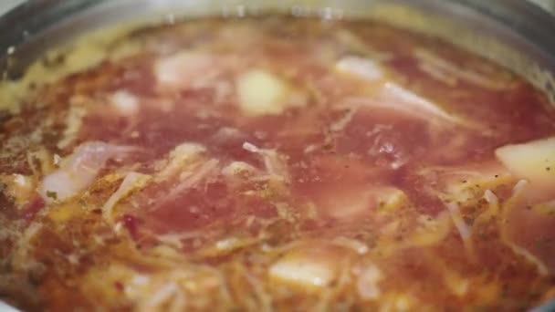 Boiling red borsch and bay — Stock Video