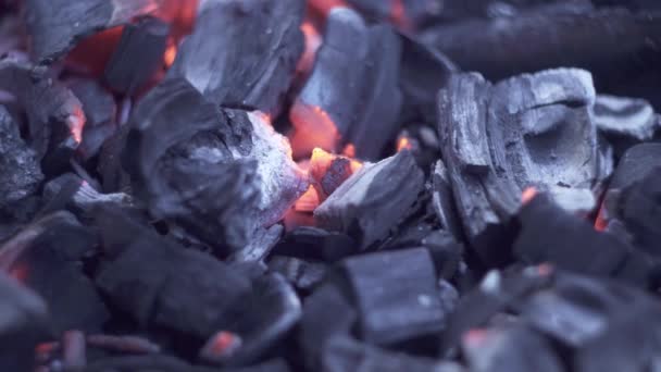 Burning fire on coals — Stock Video