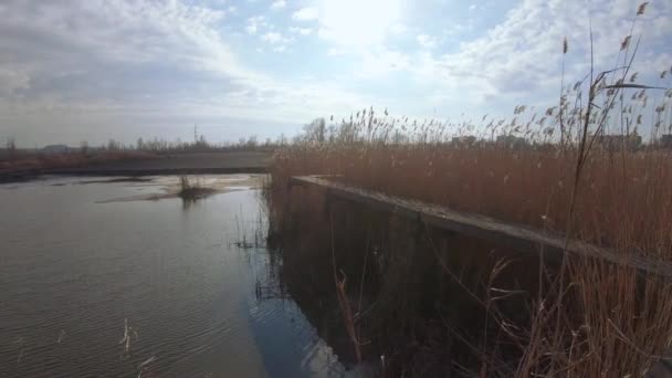 Teich für Schlamm mit Asche — Stockvideo