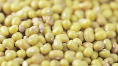 Tabakta Asya fasulyesi