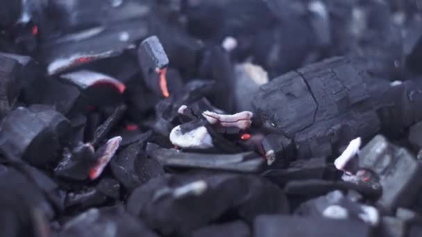 Burning fire on coals — Stock Video