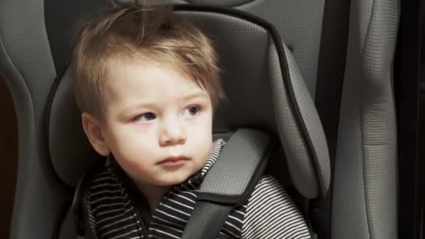 Kleine jongen zit op een kinderzitje in de auto — Stockvideo