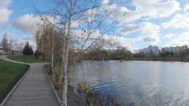 Göletin kıyısındaki tahta yol.