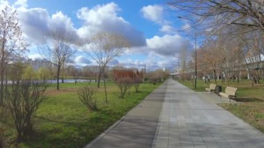 Şehir parkında bir sokak.