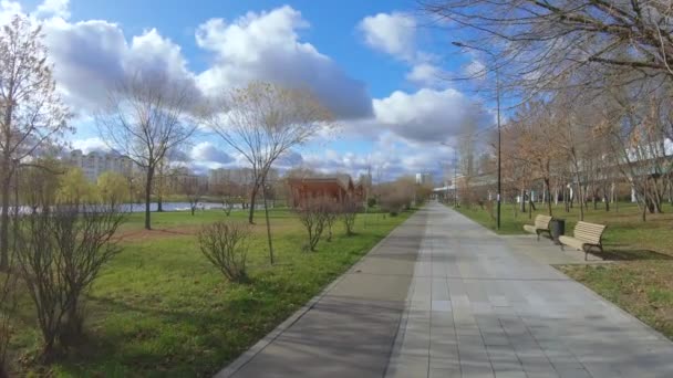 Callejón en un parque de la ciudad — Vídeos de Stock