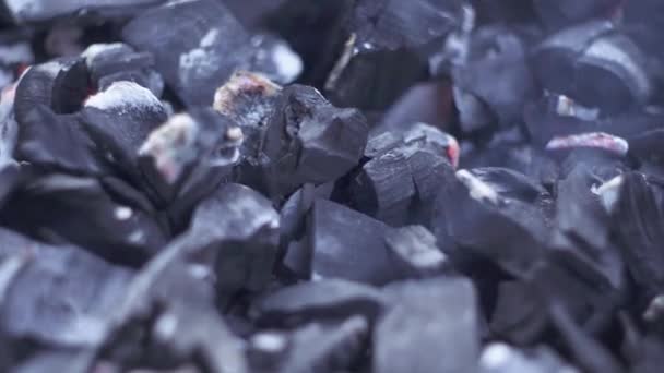 石炭に火をつける — ストック動画