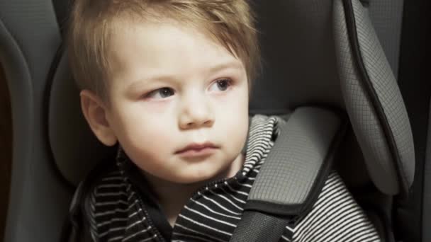 Kleine jongen zit op een kinderzitje in de auto — Stockvideo