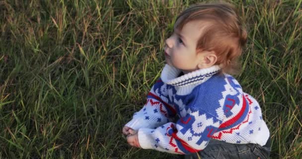 Niño jugando a las flores silvestres — Vídeo de stock