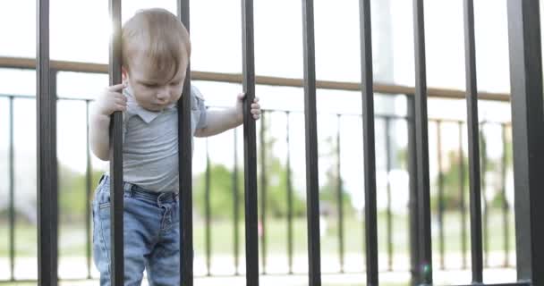 Мальчик цепляется за забор — стоковое видео