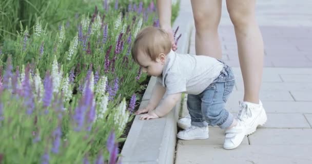 Mutter mit Kind in der Nähe eines Blumenbeets — Stockvideo