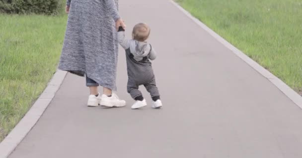 Il bambino impara a camminare — Video Stock