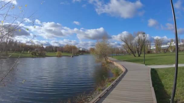 Passerelle en bois au bord de l'étang — Video