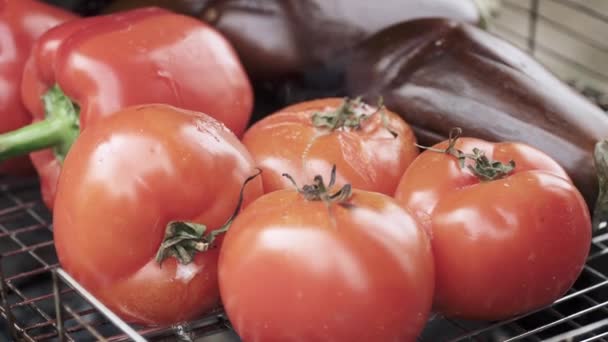 Griller les légumes sur un feu ouvert — Video