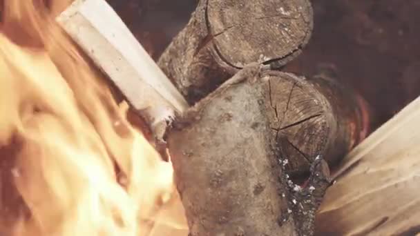 Grote brandhout verbranding — Stockvideo