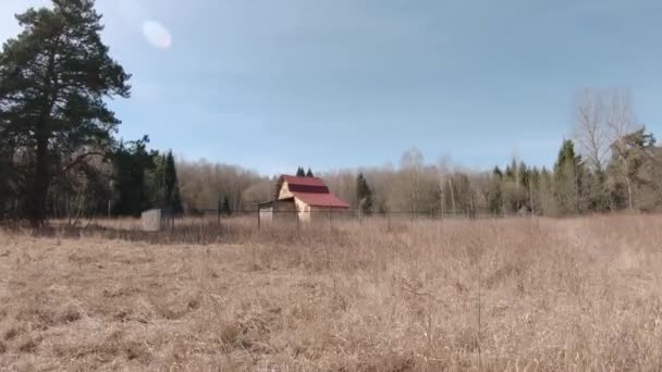 Деревянный дом в лесу — стоковое видео