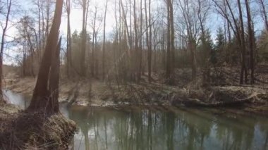 İlkbaharın başlarında orman nehri