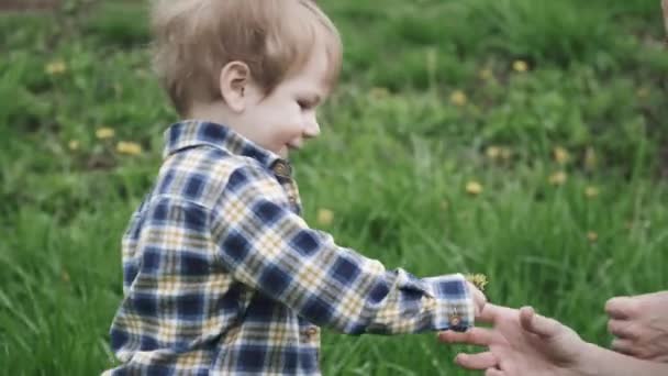 Fleurs et donne à maman 