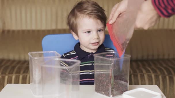 Niño niño está jugando frijoles — Vídeos de Stock