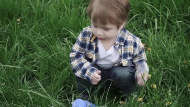 Garçon enfant dans un t-shirt vomit fleurs 