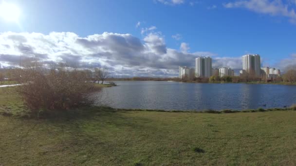 Аллея в городском парке — стоковое видео