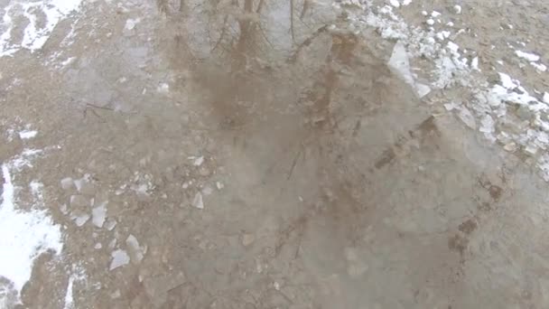 Ice and snow on a puddle — Stock Video