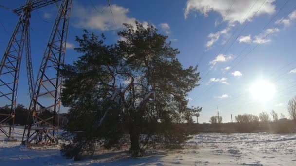 Power lines in the light — Stock video