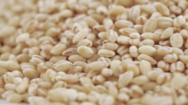 Pearl arpa zararlıları ile