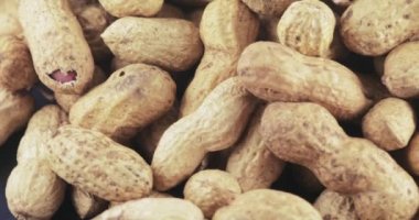 Kabuk kavrulmuş fıstık