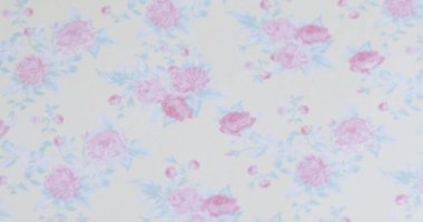 Koleksiyon defteri için arkaplan