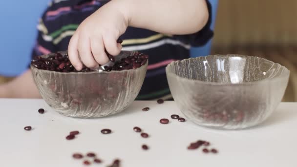 Garçon enfant joue haricots — Video