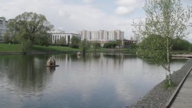 Parktaki göl kenarındaki huş ağacı