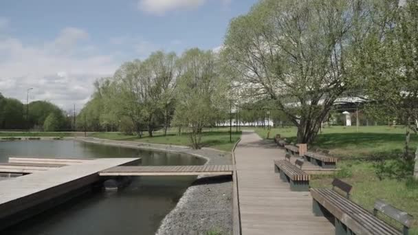 연못에 있는 나무로 된 부두 — 비디오