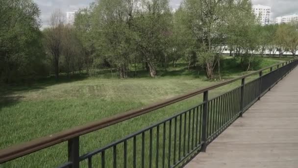 Puente de madera sobre el arroyo — Vídeo de stock