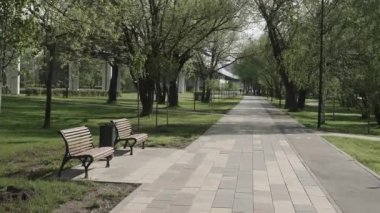 Şehir parkında sokak ve banklar