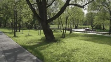 Fenerlerle aydınlatılmış güneş ve yürüyüş yolu