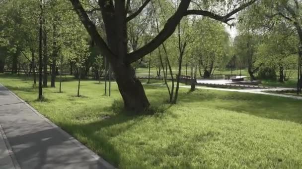 Hinterleuchtete Sonne und Gehweg mit Laternen — Stockvideo