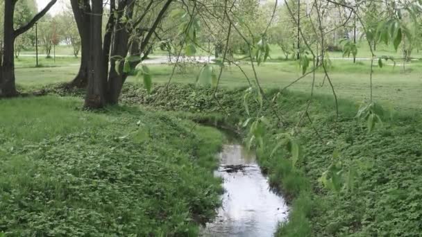 Kleine rivier in een stadspark — Stockvideo