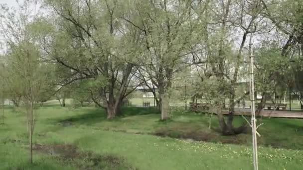 Río pequeño en un parque de la ciudad — Vídeos de Stock